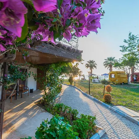 Sibyl Erythrai By Muup Çeşme