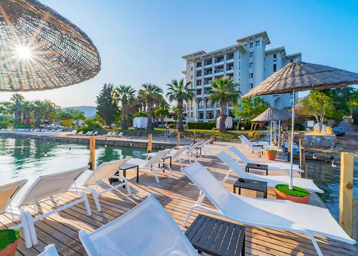 Sibyl Erythrai By Muup