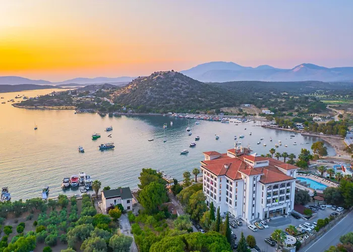 Sibyl Erythrai By Muup